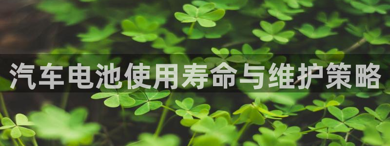 优发国际手机安装登录：汽车电池使用寿命与维护策略