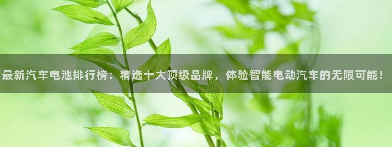 优发国际官网下载安装app：最新汽车电池排行榜：精选十大顶级品牌，体验智能电动汽车的无限可能！