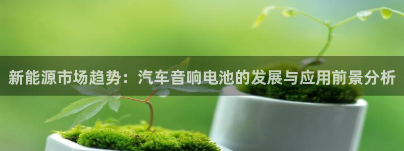 优发国际安卓版下载安装苹果：新能源市场趋势：汽车音响电池的发展与应用前景分析