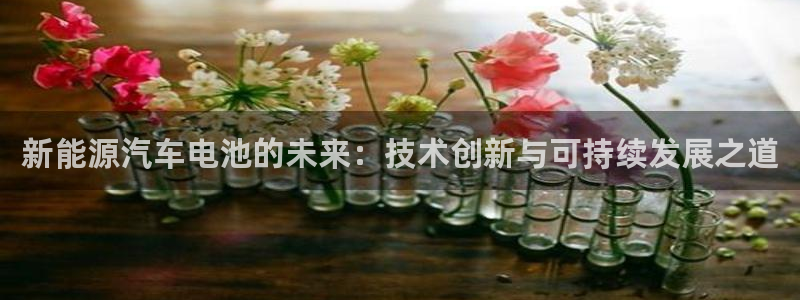 优发国际注册17：新能源汽车电池的未来：技术创新与可持续发展之道