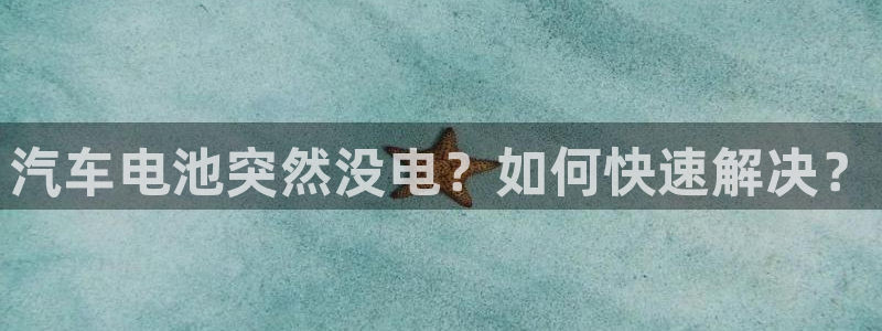 优发国际手机版官网入口：汽车电池突然没电