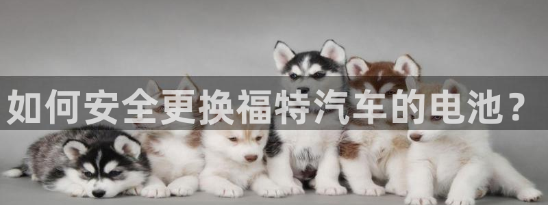 优发国际手机app下载安装最新版：如何安