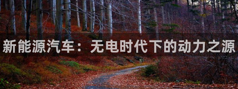 优发国际官网手机版下载：新能源汽车：无电