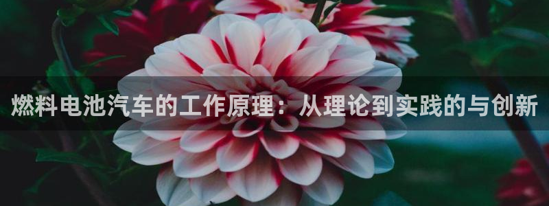 优发国际app官网下载安装苹果：燃料电池汽车的工作原理：从理论到实践的与创新