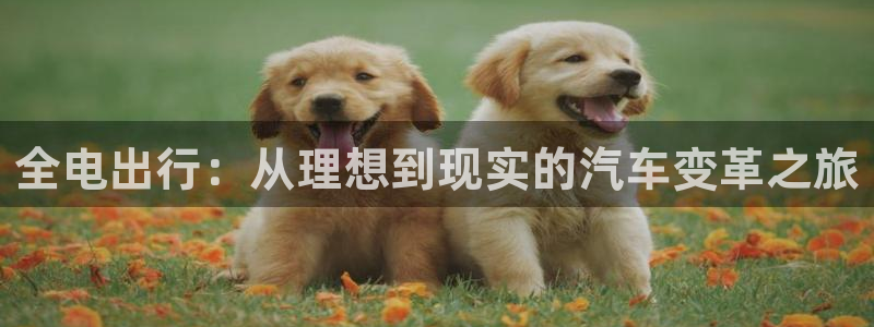 优发国际官网手机版下载苹果