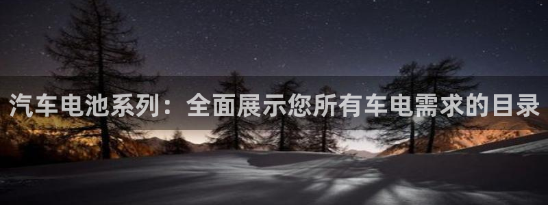 优发国际手机app下载安装：汽车电池系列：全面展示您所有车电需求的目录