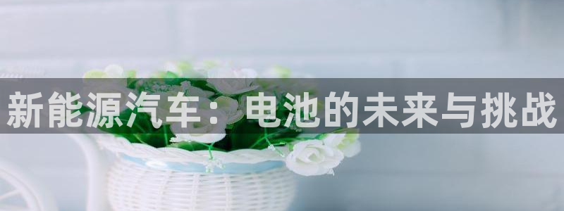 优发国际官网下载：新能源汽车：电池的未来与挑战