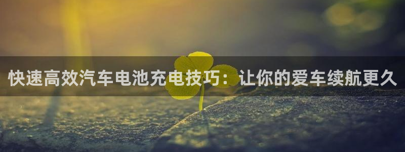 优发国际官网网站首页：快速高效汽车电池充电技巧：让你的爱车续航更久