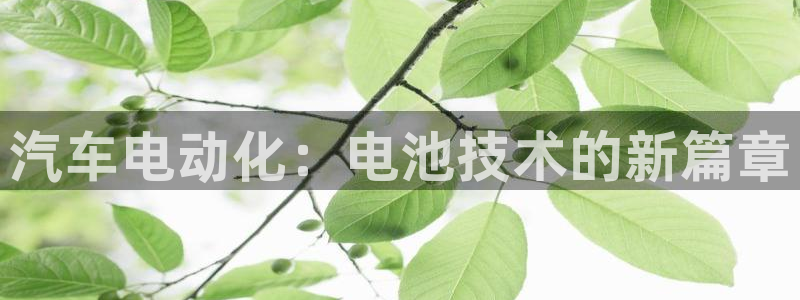 优发国际手机版唯一官网下载