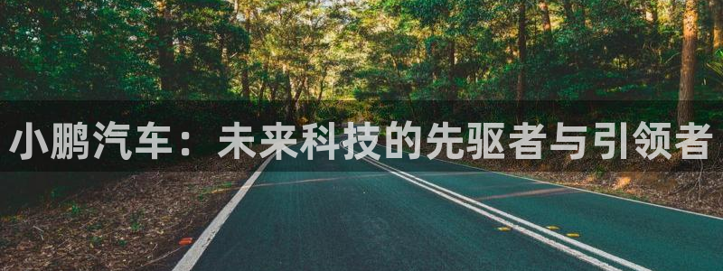 优发国际手机客户端app