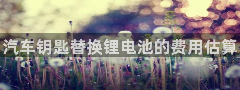 优发国际官网下载安装手机版