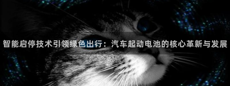 优发国际youfa966