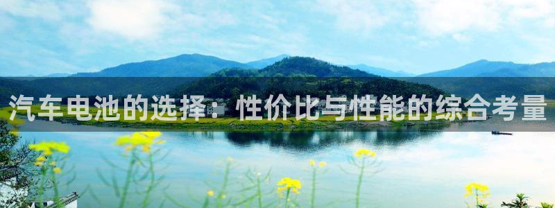 优发国际游戏网站：汽车电池的选择：性价比与性能的综合考量