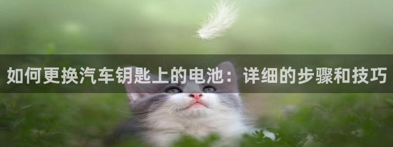 优发国际平台