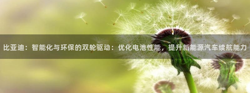 优发国际手机客户端官网：比亚迪：智能化与环保的双轮驱动：优化电池性能，提升新能源汽车续航能力