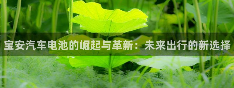 优发国际手机版官网下载：宝安汽车电池的崛起与革新：未来出行的新选择