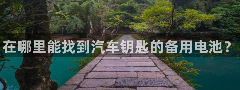 优发国际是大平台吗是真的吗：在哪里能找到汽车钥匙的备用电池？