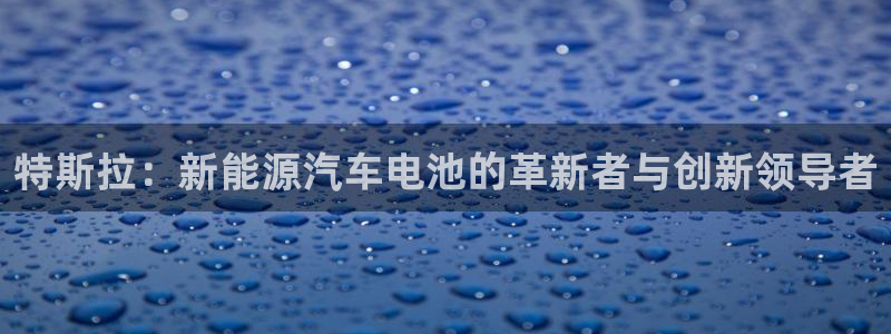 优发国际youfa966：特斯拉：新能源汽车电池的革新者与创新领导者