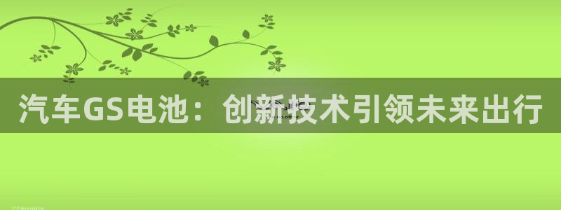 优发国际免费游戏下载：汽车GS电池：创新技术引领未来出行