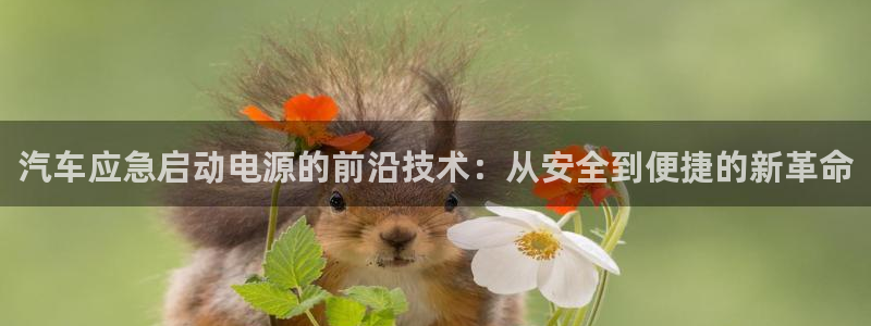 优发国际客服联系方式：汽车应急启动电源的前沿技术：从安全到便捷的新革命
