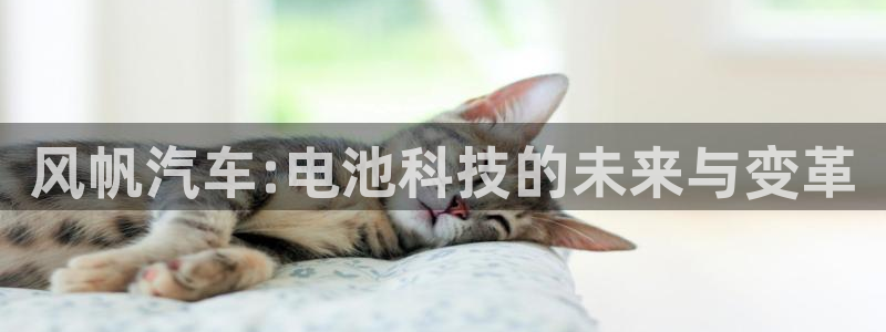 优发国际客服联系方式：风帆汽车:电池科技的未来与变革
