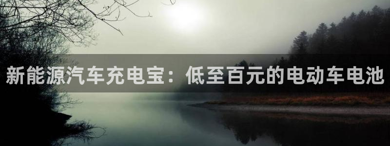 优发国际合并到哪里了：新能源汽车充电宝：低至百元的电动车电池