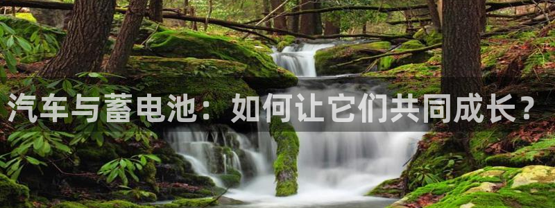 优发国际平台18：汽车与蓄电池：如何让它们共同成长？