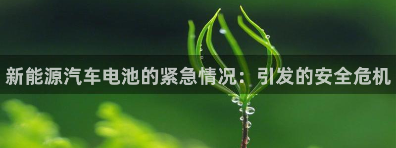 优发国际客服联系方式查询：新能源汽车电池的紧急情况：引发的安全危机