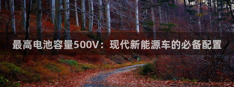 优发国际登录a：最高电池容量500V：现代新能源车的必备配置
