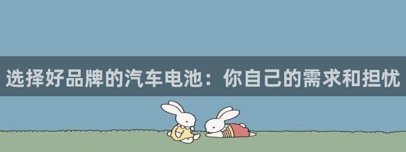 优发国际顶级：选择好品牌的汽车电池：你自己的需求和担忧