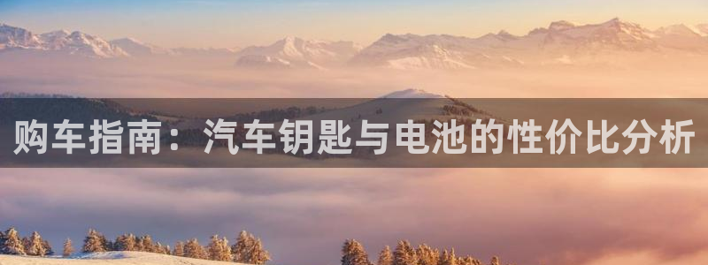 优发国际官网手机版：购车指南：汽车钥匙与电池的性价比分析
