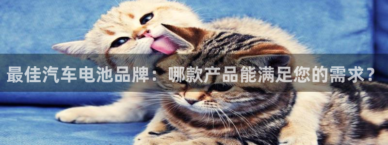 优发国际软件下载官网：最佳汽车电池品牌：哪款产品能满足您的需求？