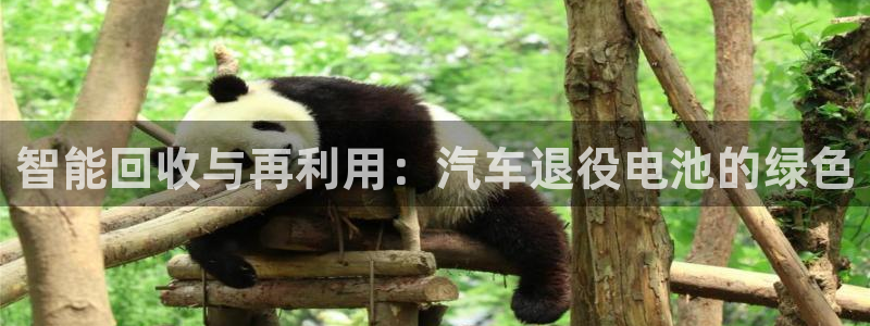 优发国际网官网址是多少：智能回收与再利用：汽车退役电池的绿色