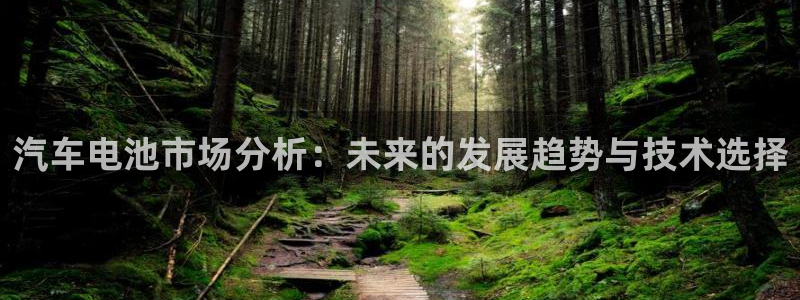 优发国际平台g8