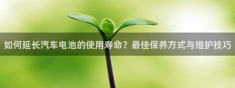 优发国际是大平台吗还是小平：如何延长汽车电池的使用寿命？最佳保养方式与维护技巧