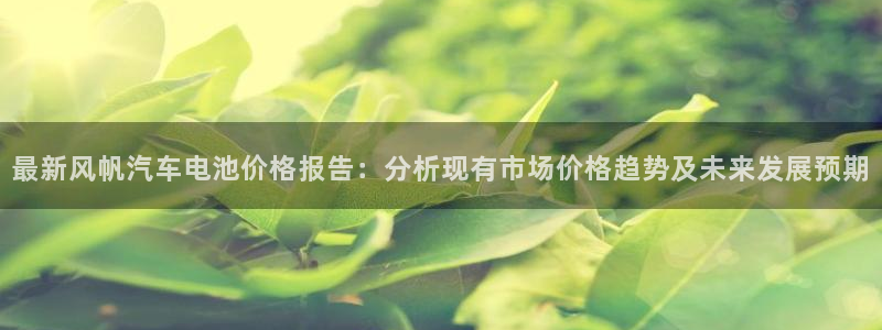 优发国际登录a：最新风帆汽车电池价格报告：分析现有市场价格趋势及未来发展预期