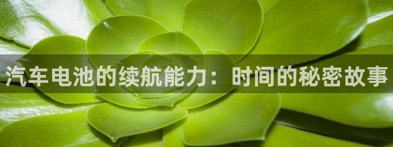 优发国际官网入口app下载苹果
