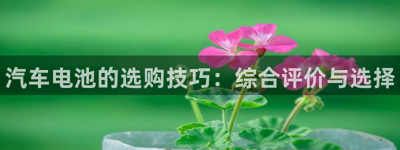优发国际娱乐官网多少?