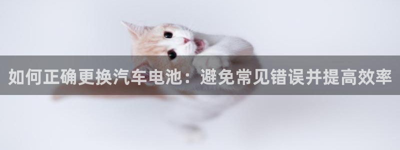 优发国际怎么样：如何正确更换汽车电池：避免常见错误并提高效率