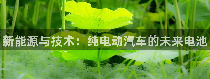 优发国际手机版客户端下载：新能源与技术：纯电动汽车的未来电池