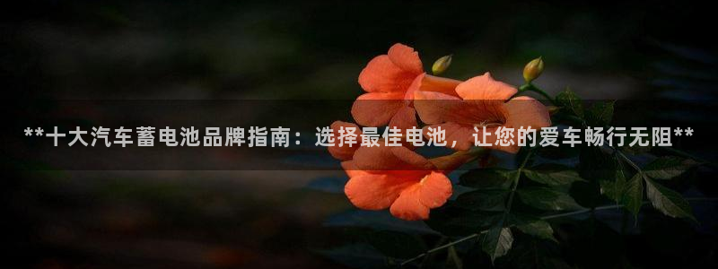 优发国际网官网17o8：**十大汽车蓄电池品牌指南：选择最佳电池，让您的爱车畅行无阻**