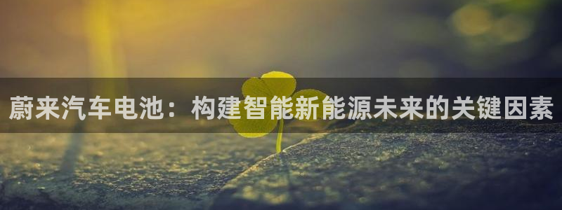 优发国际bob：蔚来汽车电池：构建智能新能源未来的关键因素