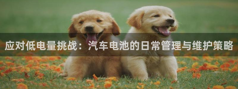 优发国际官网网站首页