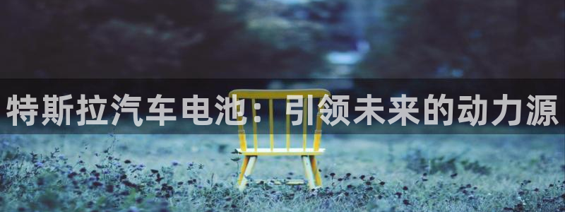 优发国际是大平台吗知乎：特斯拉汽车电池：引领未来的动力源