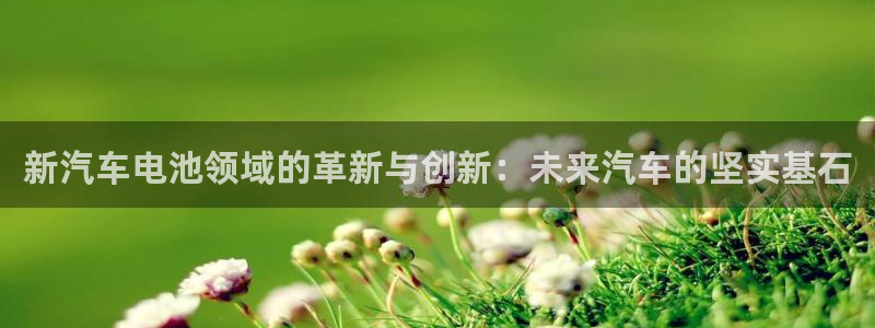 优发国际平台app下载官网：新汽车电池领域的革新与创新：未来汽车的坚实基石