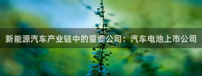 优发国际官网网站：新能源汽车产业链中的重要公司：汽车电池上市公司