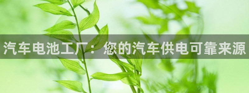 优发国际官方网平台登录：汽车电池工厂：您的汽车供电可靠来源