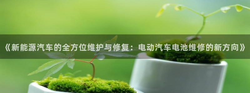优发国际手机版网站登录：《新能源汽车的全方位维护与修复：电动汽车电池维修的新方向》