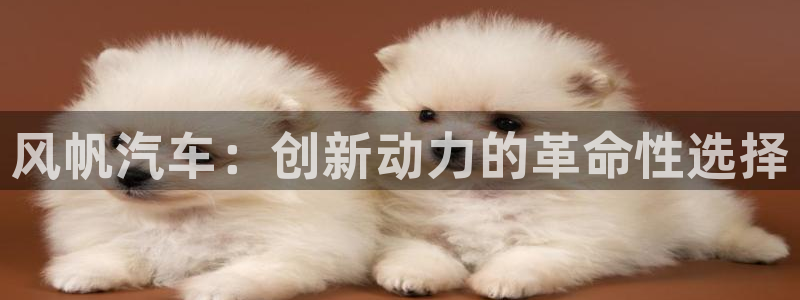 优发国际官网下载安装app