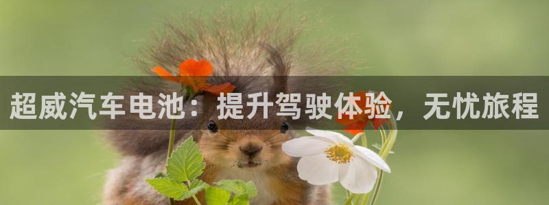 优发国际手机客户端下载安卓：超威汽车电池：提升驾驶体验，无忧旅程